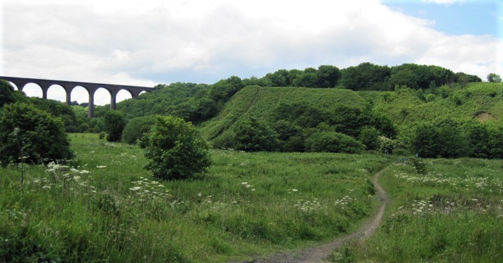 Castle Eden Dene Viaduct in County Durham